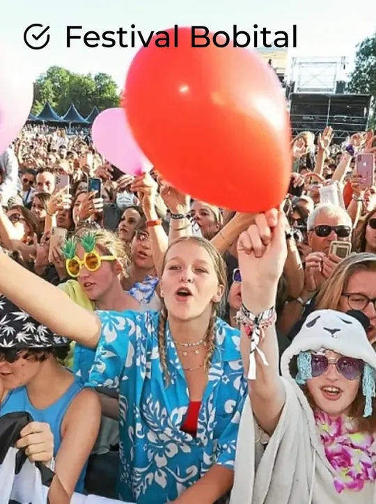Picture of one of our client festival Festival Bobital