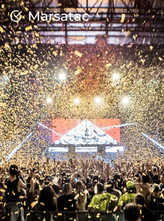 Picture of one of our client festival Marsatac