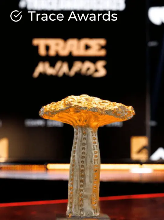 Picture of one of our client festival Trace Awards